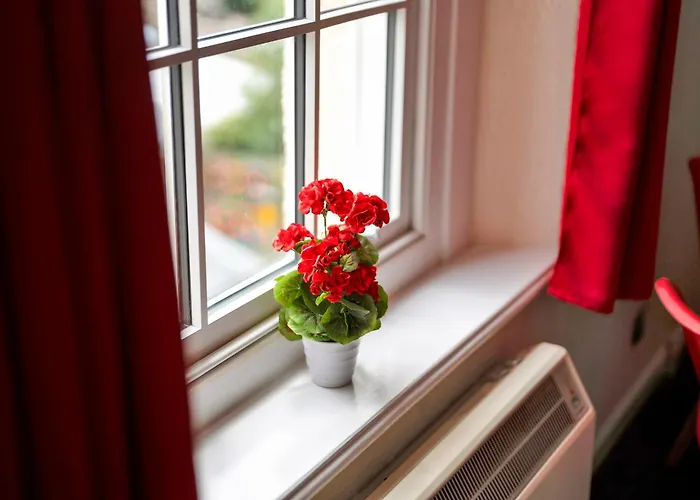 Stylish Clifton Penthouse, Permit Parking X1, Nr Centre, Garden *