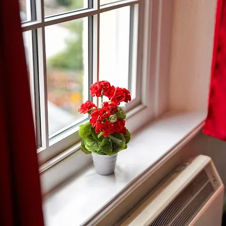 Stylish Clifton Penthouse, Permit Parking X1, Nr Centre, Garden Apartment Bristol